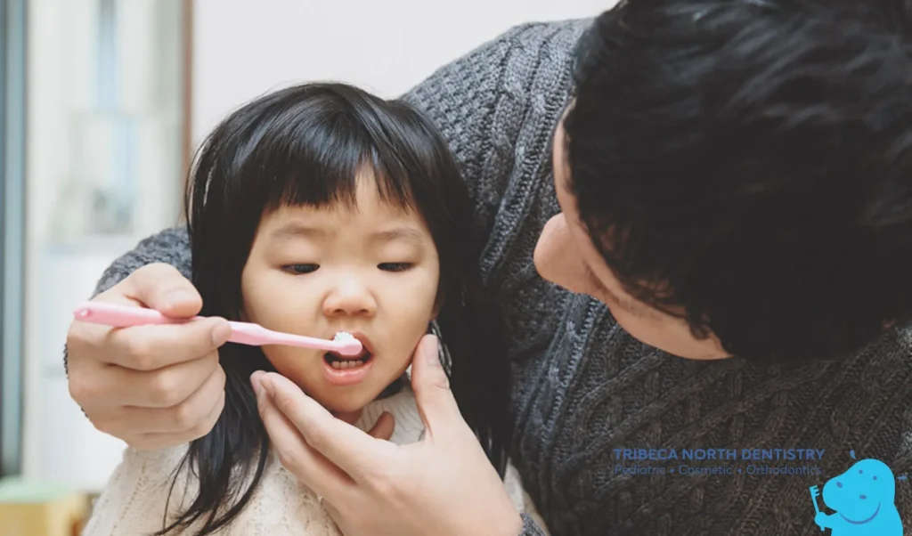 Maintaining Healthy Teeth and Gums