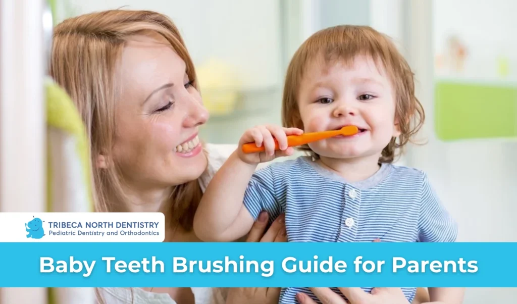 Baby Teeth Brushing Guide for Parents