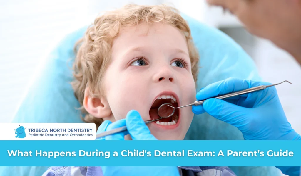 What Happens During a Child's Dental Exam A Parent’s Guide